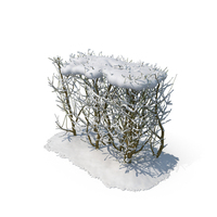 Snow bushes PNG & PSD Images