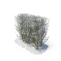 Snow bushes PNG & PSD Images