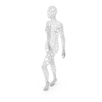 Female Wire Mannequin PNG & PSD Images