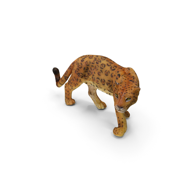 Jaguar PNG & PSD Images