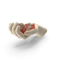 Glove Holding Mixed Gummy Candy PNG & PSD Images