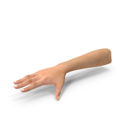 Female Arm with Short Nails PNG & PSD Images