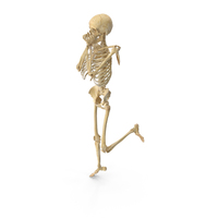 Real Human Female Skeleton Pose PNG & PSD Images