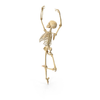 Real Human Female Skeleton Pose PNG & PSD Images