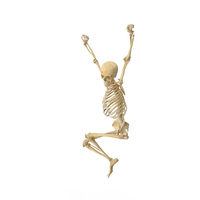 Real Human Female Skeleton Pose PNG & PSD Images