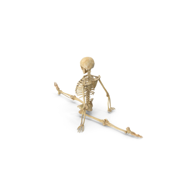 Real Human Female Skeleton Pose PNG & PSD Images Real Human Female Skeleton Pose PNG & PSD Images