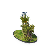 Alien Trees PNG & PSD Images