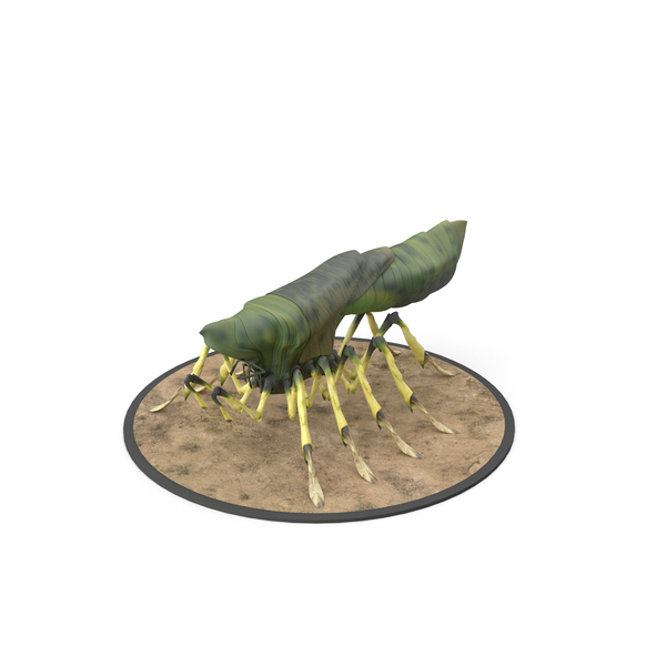 Arachsect PNG & PSD Images