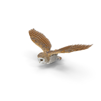 Barn Owl Flying PNG & PSD Images