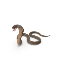 Beige Cobra Attack Pose PNG & PSD Images