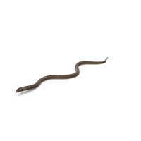 Beige Cobra Snake Crawling PNG & PSD Images