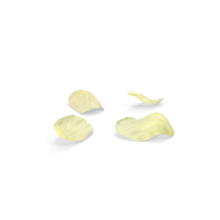 White Rose Petals PNG & PSD Images