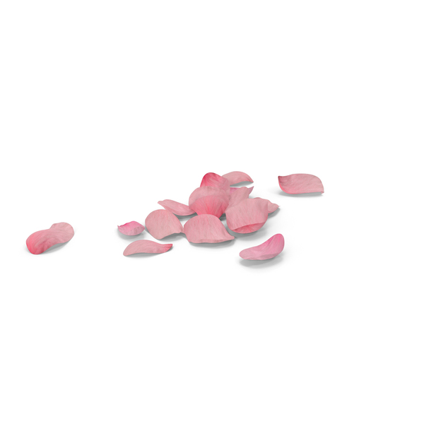 Petals Pink PNG & PSD Images