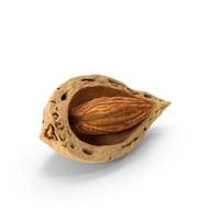 Broken Almond Shell with Almond PNG & PSD Images