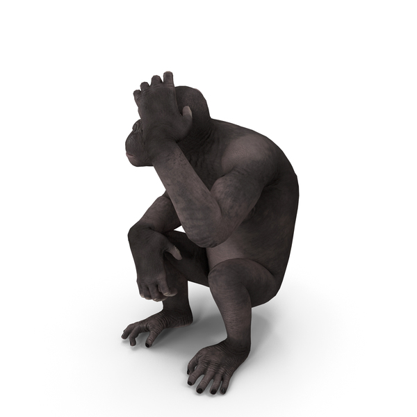 Dark Chimpanzee Sitting PNG & PSD Images