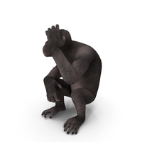 Dark Chimpanzee Sitting PNG & PSD Images