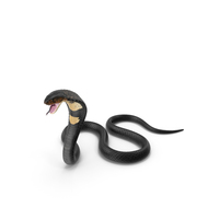 Dark Skin Cobra Attacking Pose PNG & PSD Images