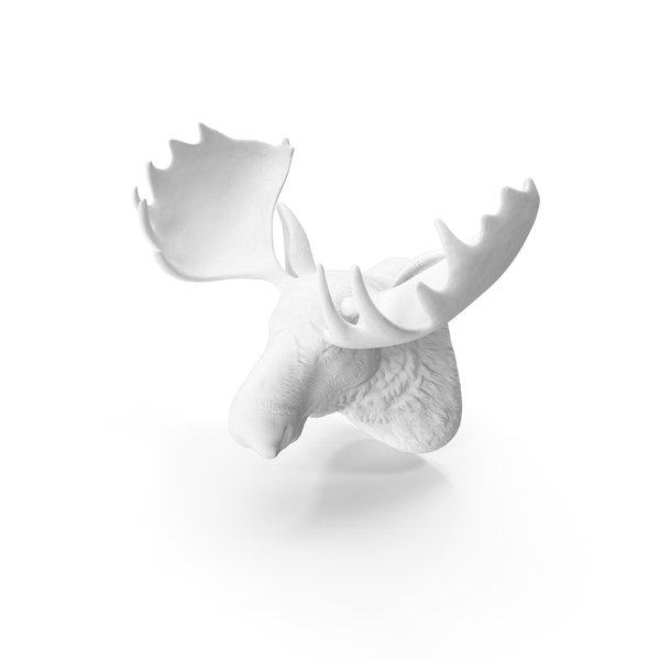 Deer Head Fake Wall Mount PNG & PSD Images