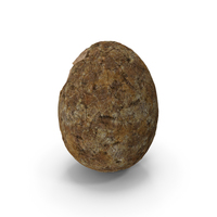恐龙鸡蛋古代石头PNG和PSD图像