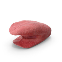 Tongue PNG & PSD Images