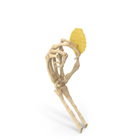 Skeleton Hand holding a Crinkle Cut Wavy Potato Chip PNG & PSD Images