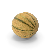 Cantaloupe PNG & PSD Images