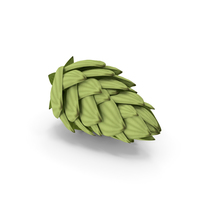 Hop Cone PNG & PSD Images