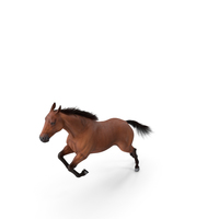 Jumping Bay Horse Fur PNG & PSD Images