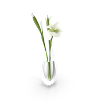 Lilly Flowers in Vase PNG & PSD Images