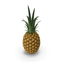 Pineapple Fruit PNG & PSD Images