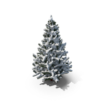 Snowy Pine PNG & PSD Images