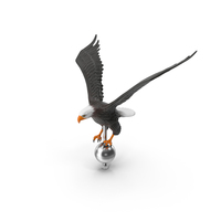 Flying Eagle Flagpole Topper PNG & PSD Images