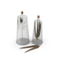 Decorative Bottles With Feathers PNG & PSD Images