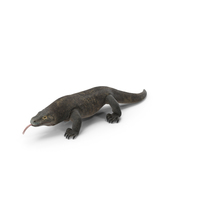 Komodo Dragon Walking Pose PNG & PSD Images