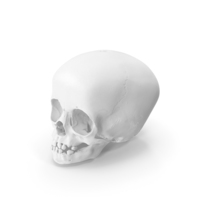 Child Skull PNG & PSD Images