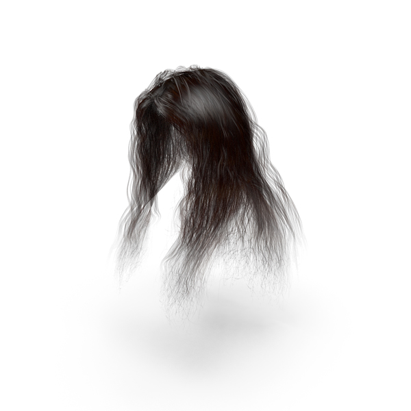 Long Male/Female Hair PNG & PSD Images