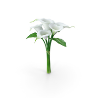 Bouquet Calla Lilies PNG & PSD Images