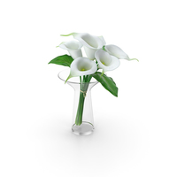Calla Lilies Bouquet in Glass Vase PNG & PSD Images