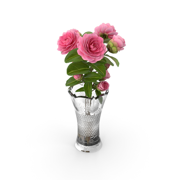 Camellia Bouquet Pink in Vase PNG & PSD Images
