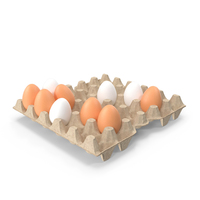 Carton 30 Cells Cardboard with Eggs PNG & PSD Images