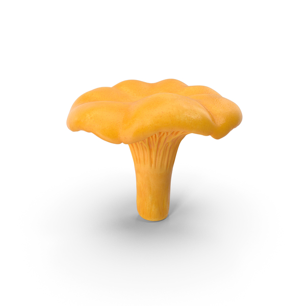 Chanterelle Mushroom PNG & PSD Images