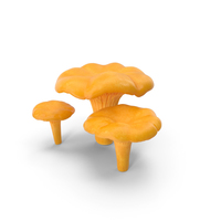 Chanterelle蘑菇套装PNG和PSD图像
