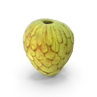 Cherimoya or Annona Cherimola Fruit PNG & PSD Images