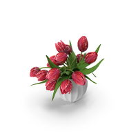 Tulips Bouquet PNG & PSD Images