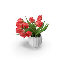 Tulips Bouquet PNG & PSD Images