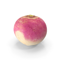 Radish PNG & PSD Images