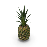 Pineapple PNG & PSD Images