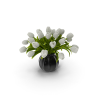 Tulips Bouquet White PNG & PSD Images