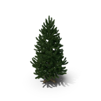 Christmas Tree Pine PNG & PSD Images