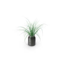 Chives PNG & PSD Images